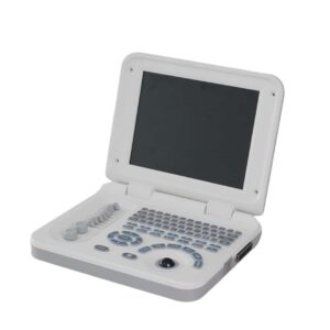 Laptop ultrasound