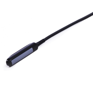 KX5600v Linear Rectal Probe